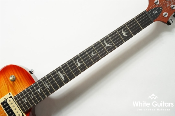 SE 245 - Vintage Sunburst